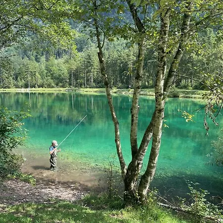 Daire Pool-bungalow Bright Eyes Obertrum am See
